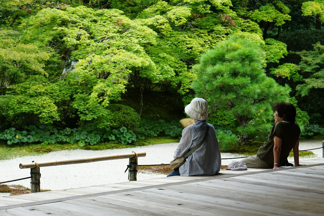 seniors chatting in garden