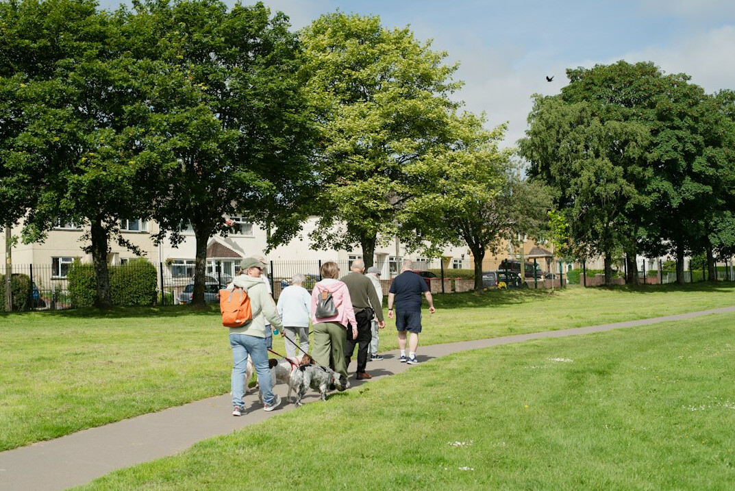 Group of seniors walking together in a park