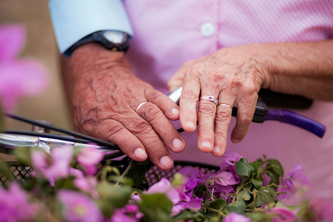seniors gardening together